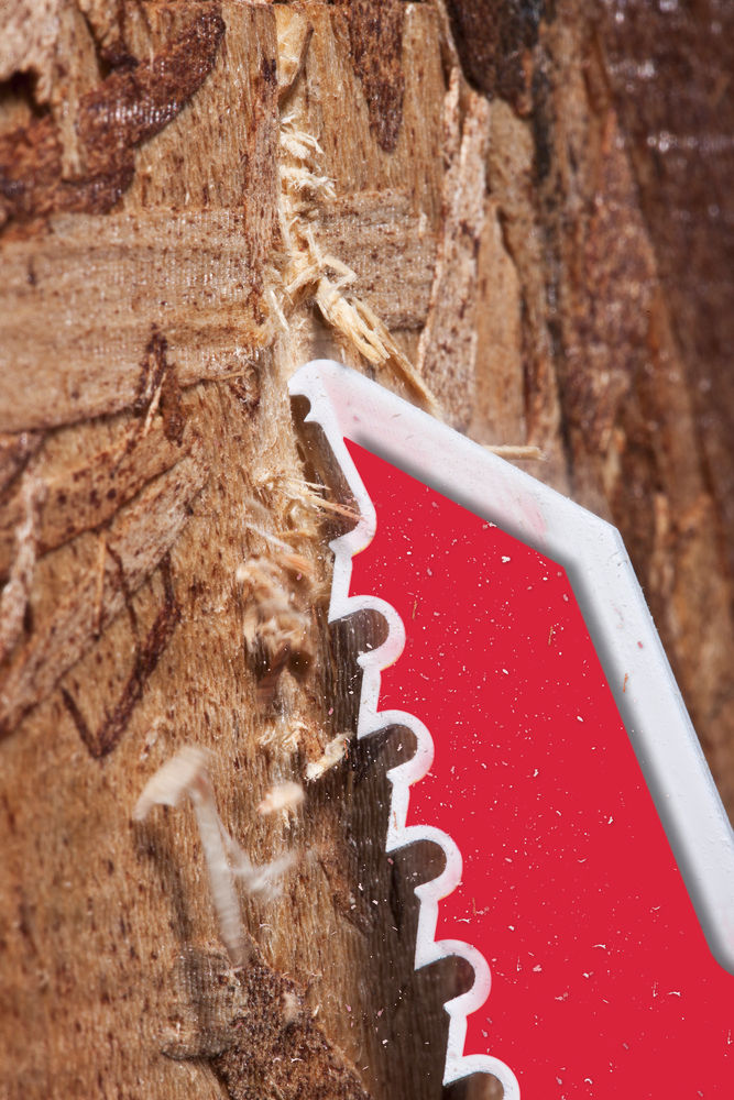Hoja Sable THE AX Madera con Clavos 230mm 5Tpi - 5uds