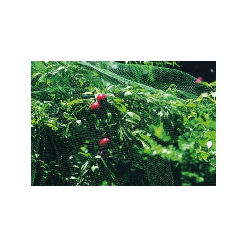 MALLA ANTI-PAJARO 2X10MT NATUUR PL VER NT