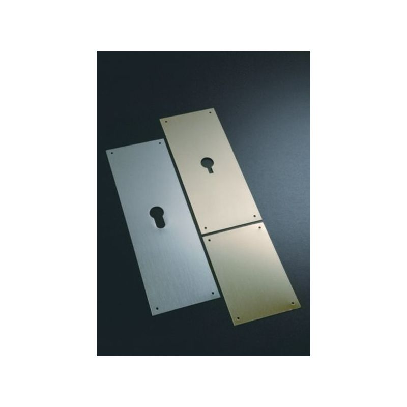PLACA CERRADURA 80X120MM 300/33 LAT/MT BOCA. PERA BERNIAL