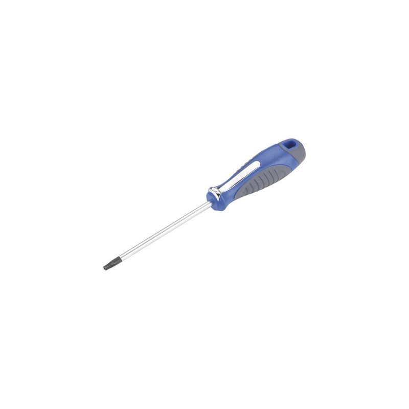 DESTORNILLADOR TORX INVIOLABLE T40x125MM
