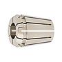 Pinza sujec. DIN6499B 4008E GERC11 1,0mmFAHRION